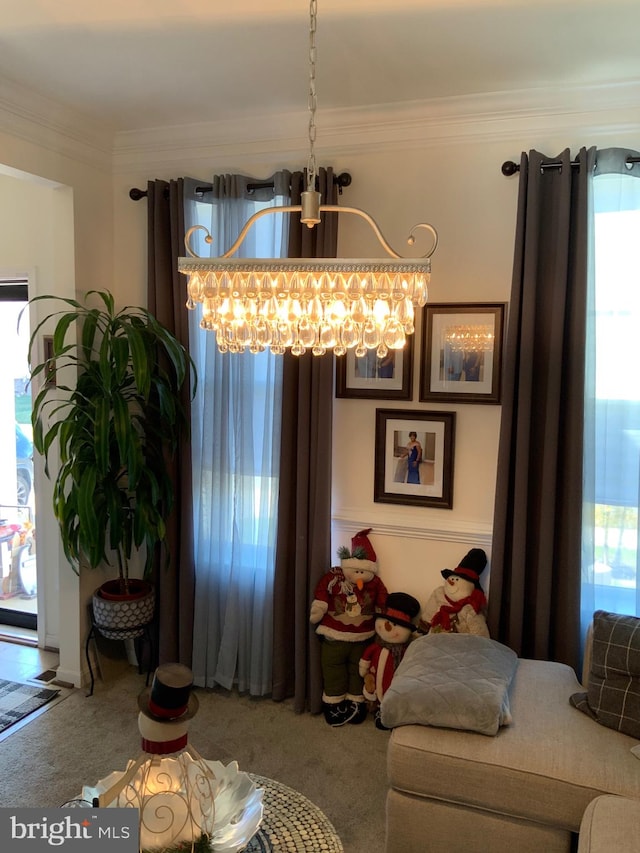 carpeted living room with crown molding, a chandelier, and a healthy amount of sunlight