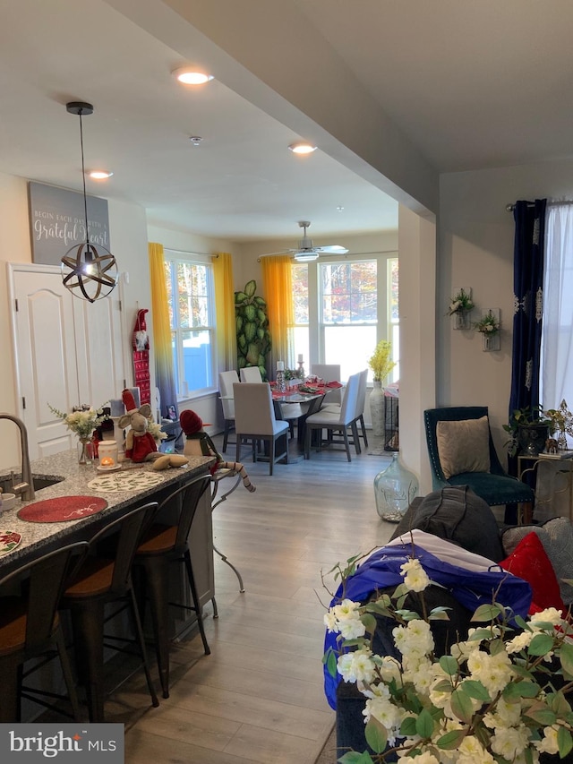 dining space with light hardwood / wood-style flooring and ceiling fan with notable chandelier