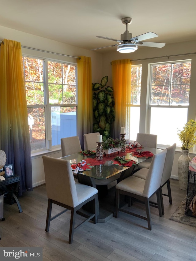 dining space featuring ceiling fan and light hardwood / wood-style floors