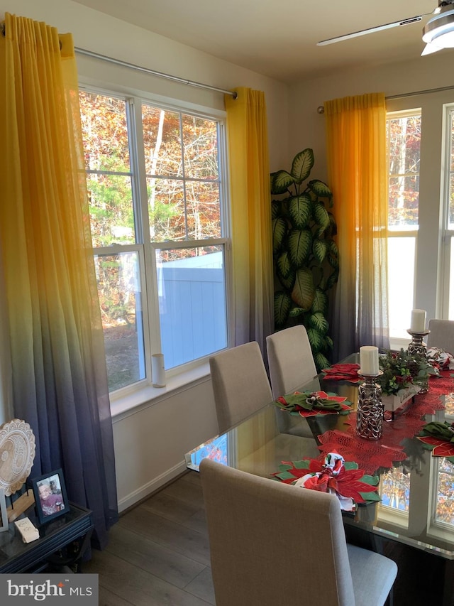 dining space with dark hardwood / wood-style floors