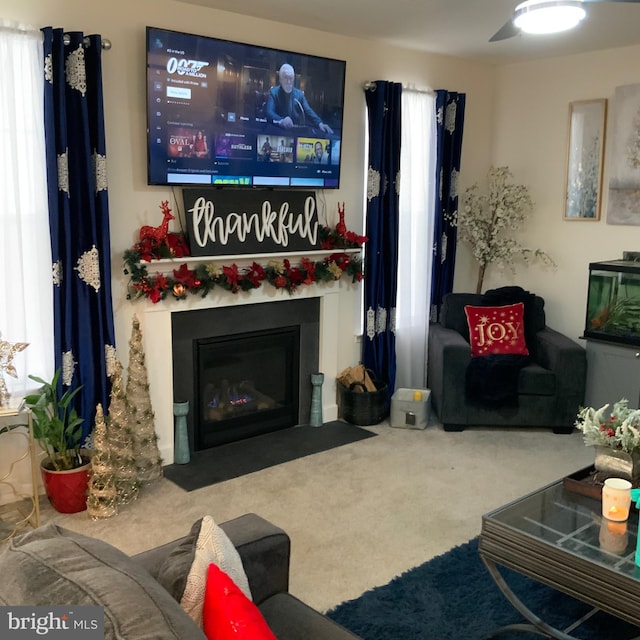 living room featuring carpet floors