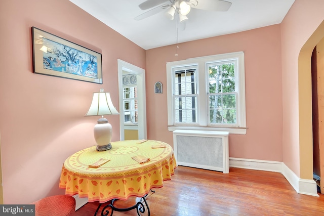 interior space with ceiling fan, radiator heating unit, and light hardwood / wood-style flooring