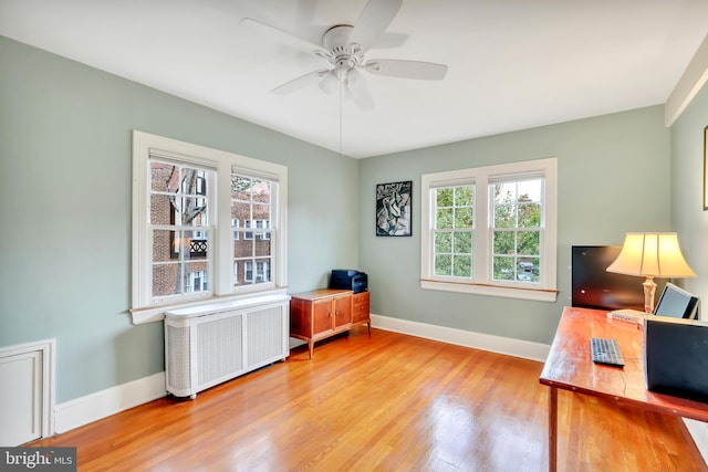 office featuring ceiling fan, radiator, and light wood-type flooring