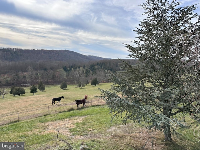 property view of mountains with a rural view