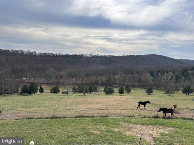 property view of mountains with a rural view