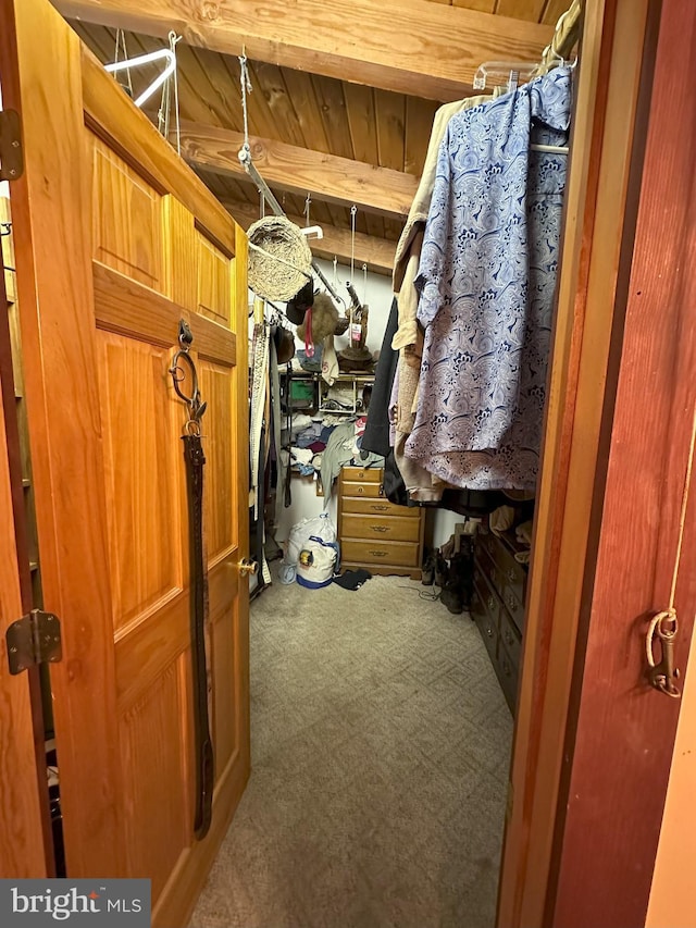 spacious closet featuring carpet and beamed ceiling