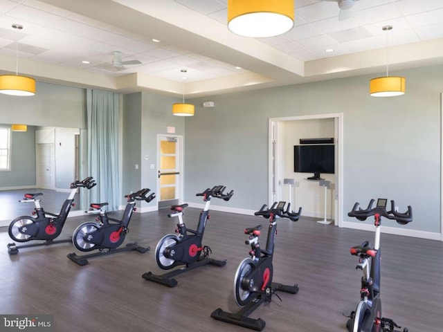 workout area with a tray ceiling, dark hardwood / wood-style flooring, and ceiling fan