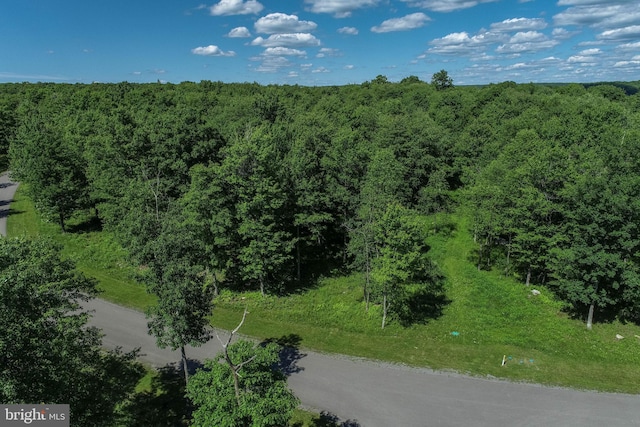 Listing photo 3 for LOT23 Winding Estates Dr, Mc Henry MD 21541