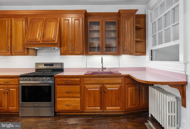 kitchen featuring gas stove, sink, dark hardwood / wood-style flooring, radiator, and tasteful backsplash