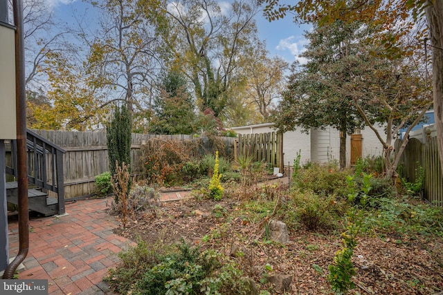 view of yard with a patio area