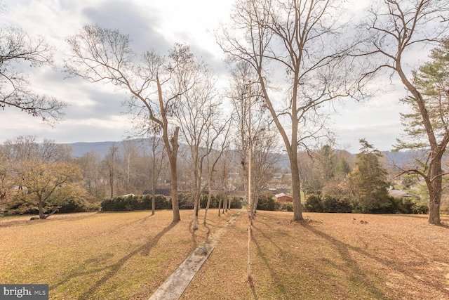 view of yard featuring a mountain view