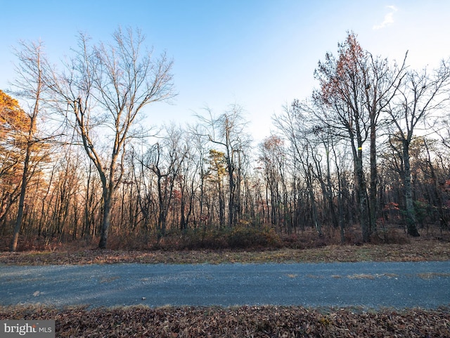 LOT181 Rockwood Trl, Winchester VA, 22602 land for sale