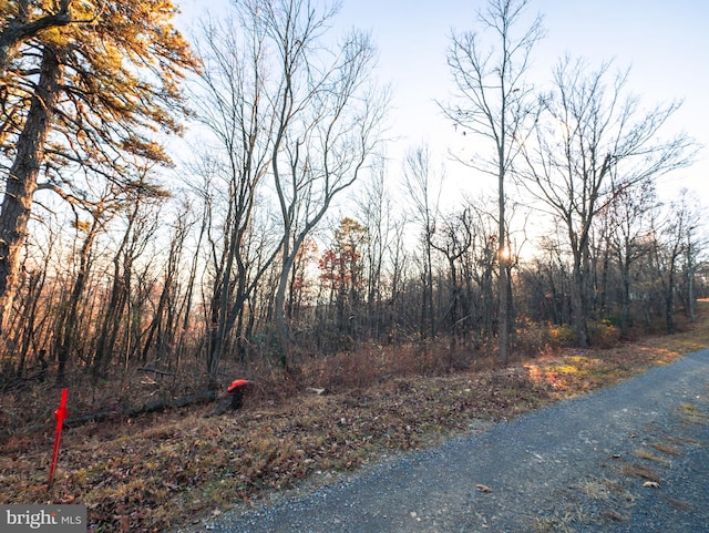 Listing photo 2 for LOT181 Rockwood Trl, Winchester VA 22602