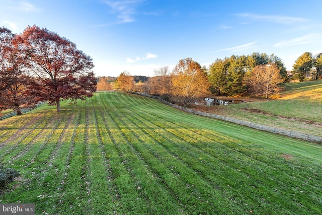 view of yard with a rural view