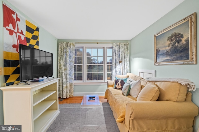 living room featuring hardwood / wood-style flooring