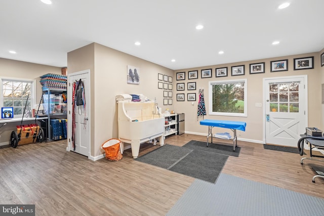 interior space with a healthy amount of sunlight and hardwood / wood-style floors