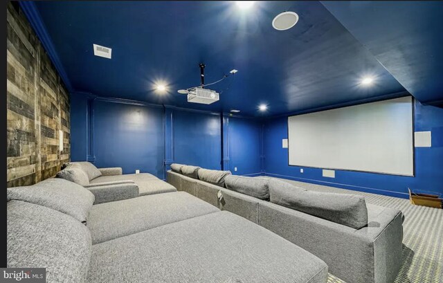 cinema with carpet