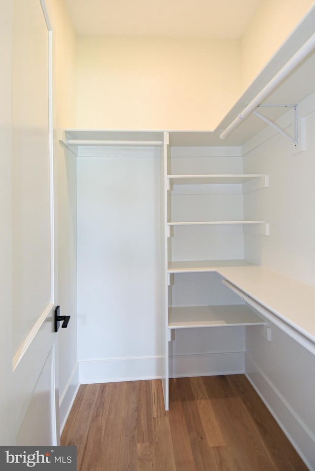 walk in closet with hardwood / wood-style floors