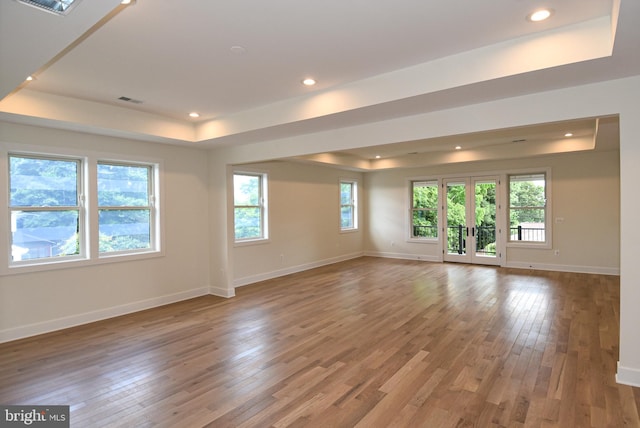 empty room with a tray ceiling, plenty of natural light, and wood-type flooring