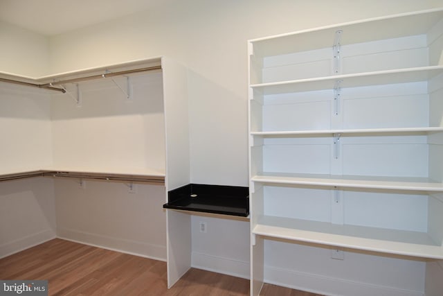 spacious closet with wood-type flooring