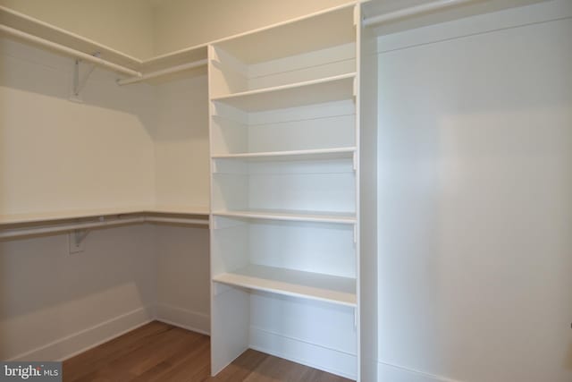 walk in closet with wood-type flooring