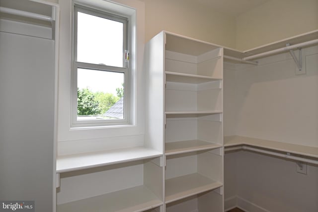 view of spacious closet