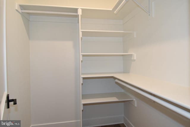 view of spacious closet