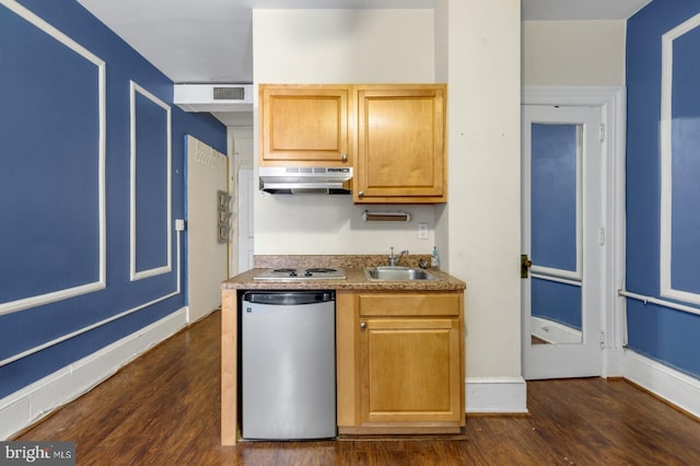 kitchen featuring sink, stainless steel appliances, and dark hardwood / wood-style flooring