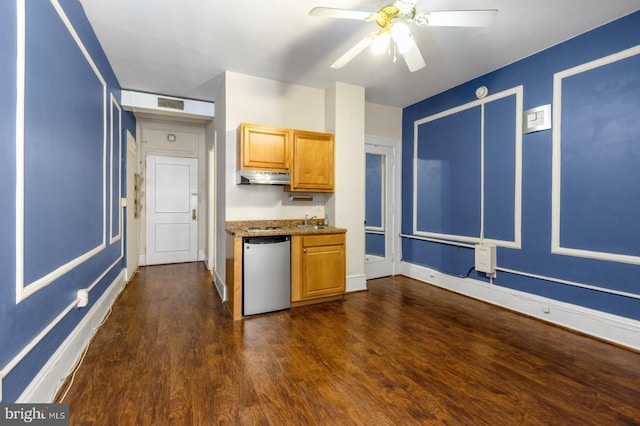 kitchen featuring stainless steel dishwasher, sink, dark hardwood / wood-style floors, and ceiling fan