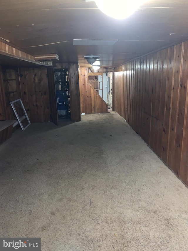 basement with wooden walls