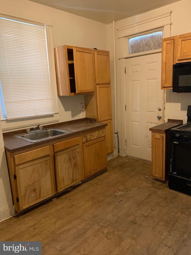 kitchen with wood-type flooring, black appliances, and sink