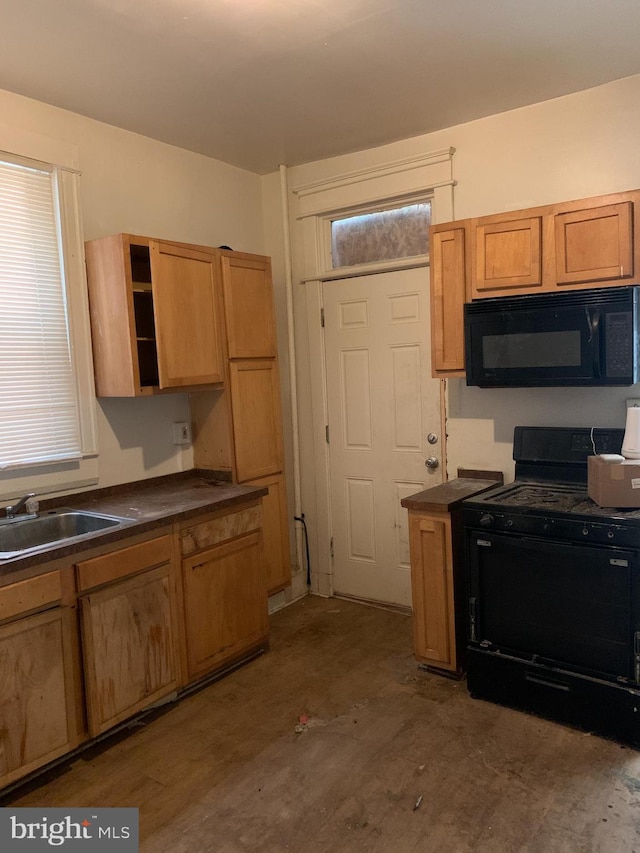 kitchen with hardwood / wood-style floors, sink, and black appliances