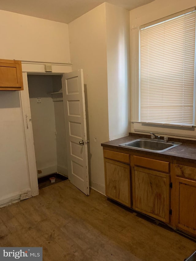 kitchen featuring wood-type flooring and sink