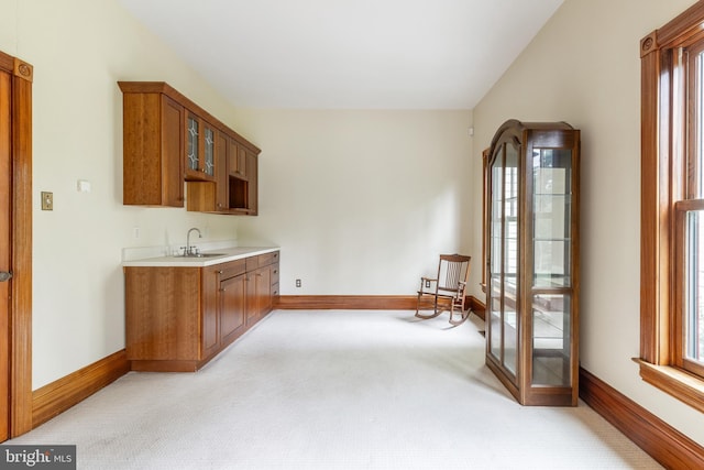 kitchen with light colored carpet and sink