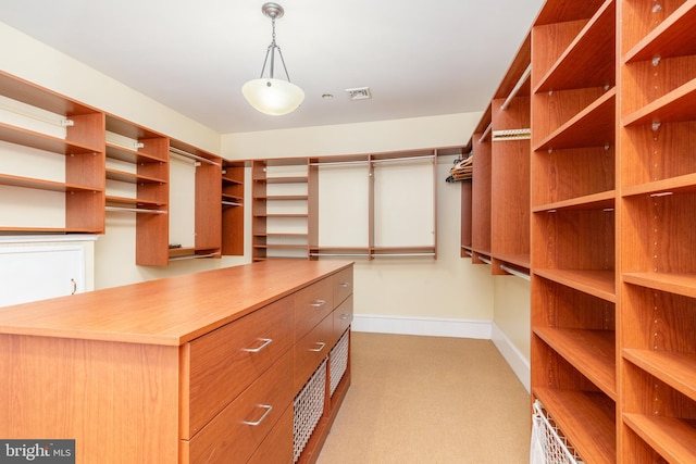 spacious closet with light carpet