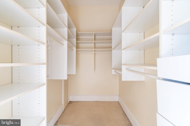 spacious closet featuring light colored carpet