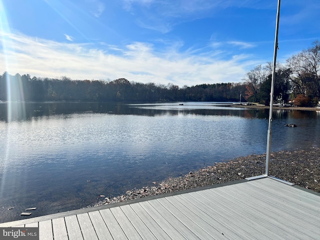 dock area with a water view