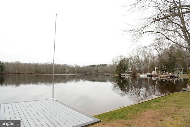 dock area featuring a water view