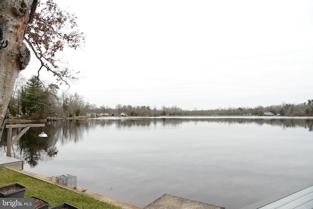 view of dock with a water view