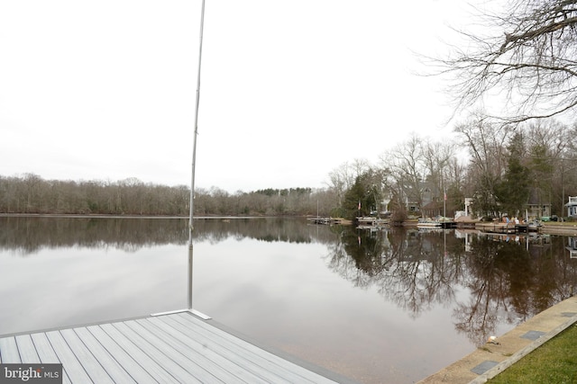 view of dock with a water view