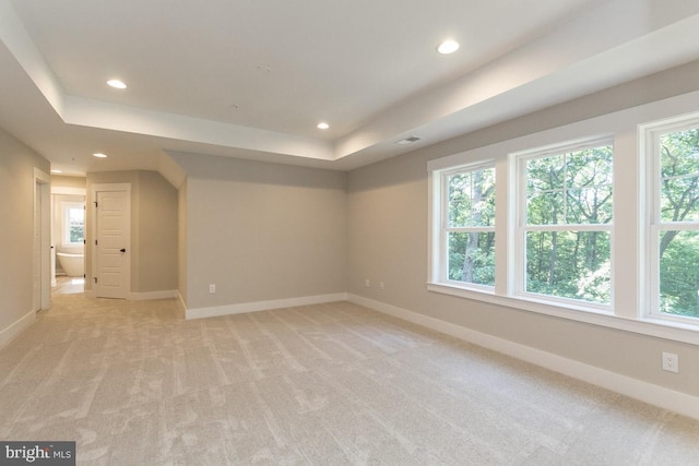 carpeted empty room with a healthy amount of sunlight and a tray ceiling