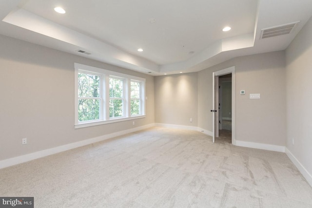 unfurnished room with light colored carpet and a raised ceiling