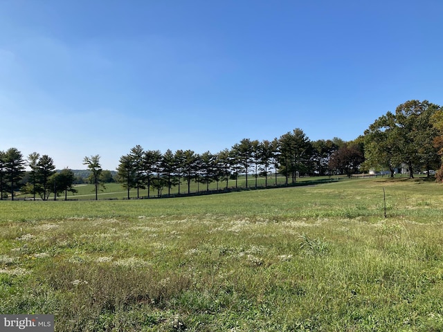 view of yard featuring a rural view