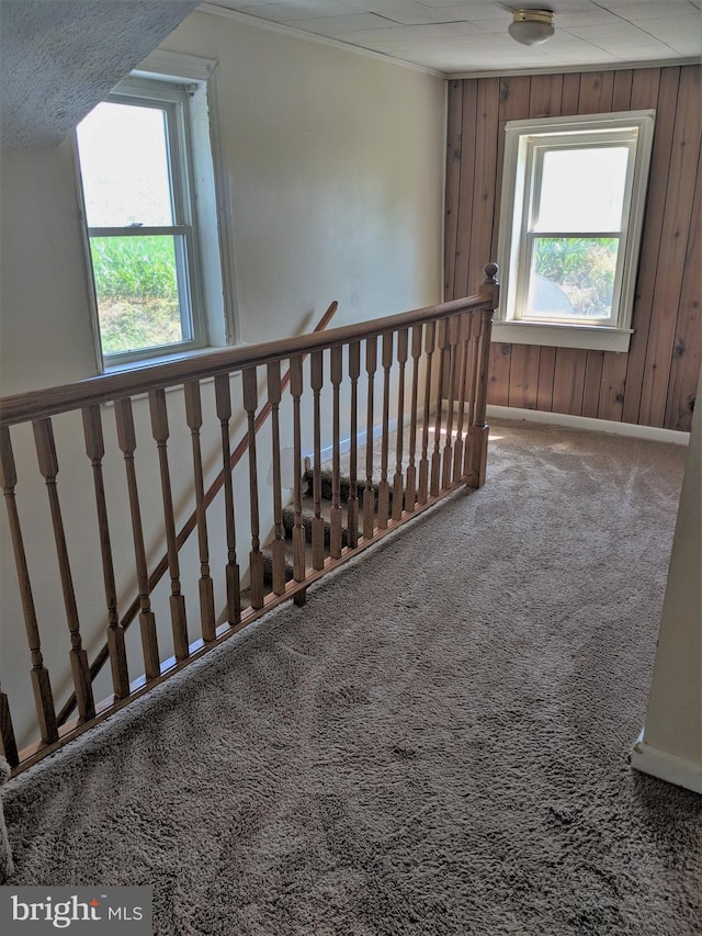 staircase featuring wooden walls and carpet flooring