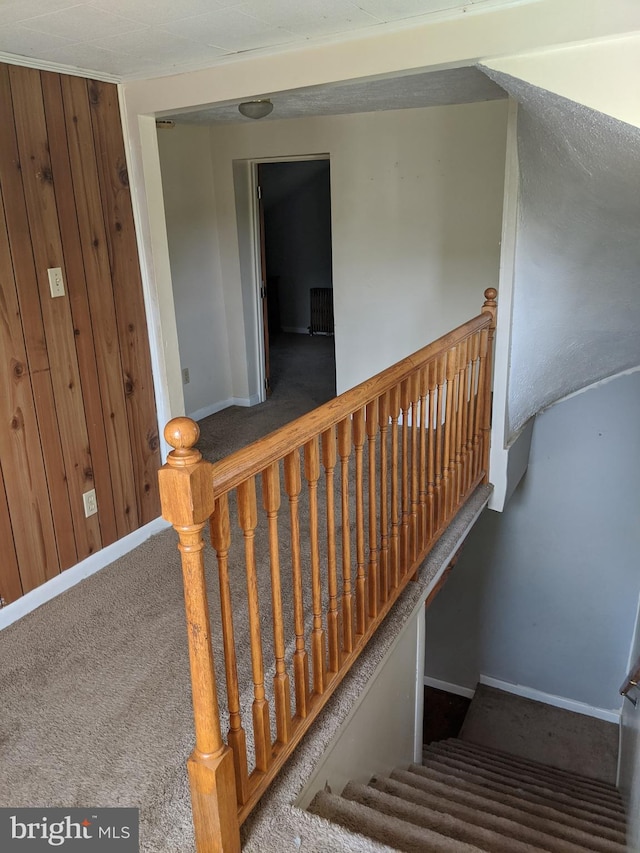 stairway featuring wooden walls and carpet