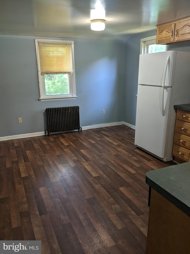 kitchen with radiator heating unit, dark hardwood / wood-style floors, and white refrigerator