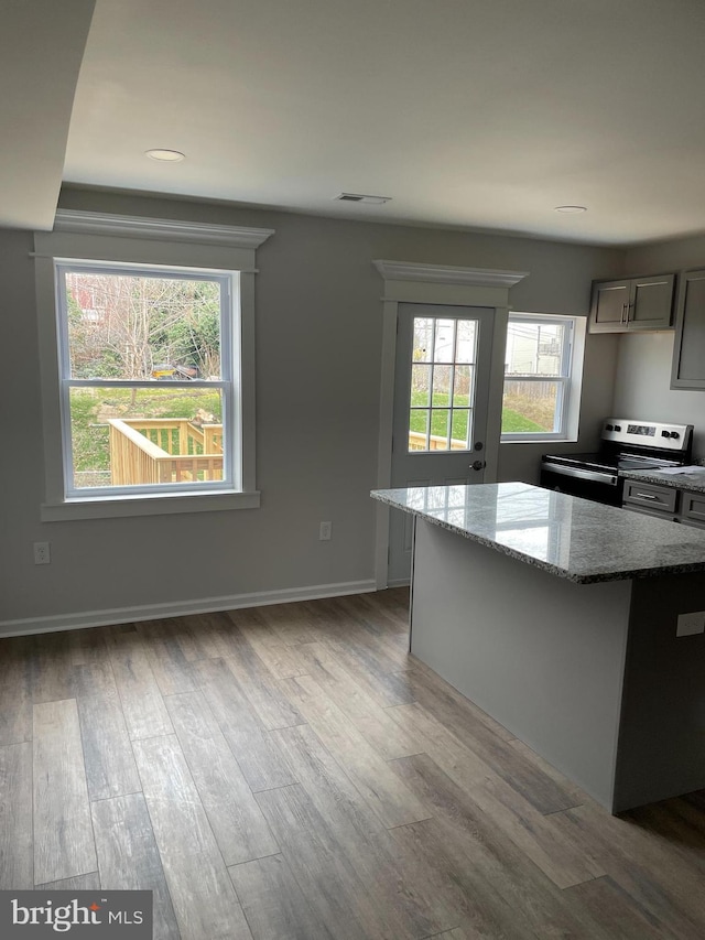 kitchen featuring light wood-type flooring, light stone counters, gray cabinetry, stainless steel electric stove, and a kitchen island