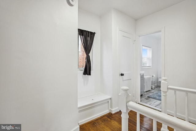 mudroom featuring dark hardwood / wood-style floors