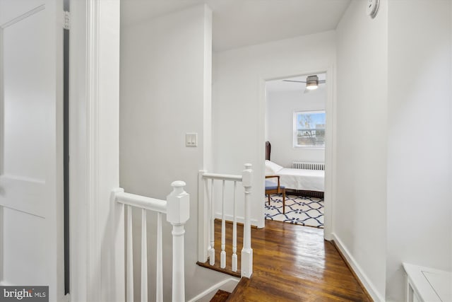 hallway featuring dark hardwood / wood-style floors and radiator heating unit