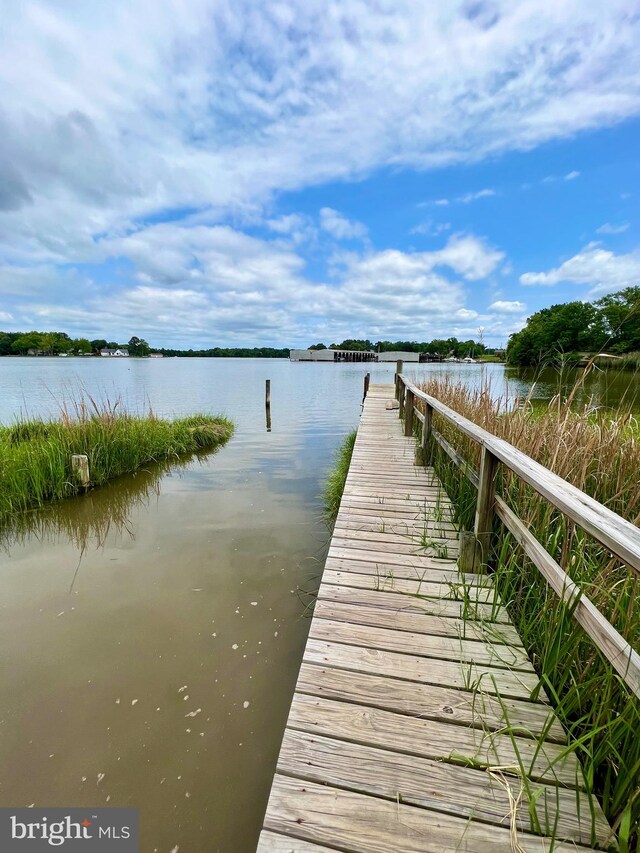 dock area featuring a water view